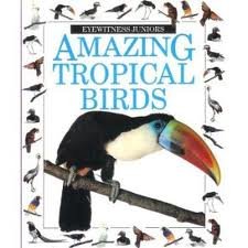 Hardcover Amazing Tropical Birds Book