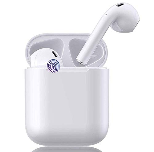 Misterogers' Neighborhood: The First Week (#001-005) (2 Disc)