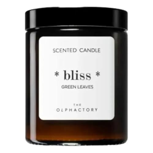 Vela Aromática Tarro 135 g (30 Horas) / Jar Scented Candle 135 g (30 Hours) Green Leaves