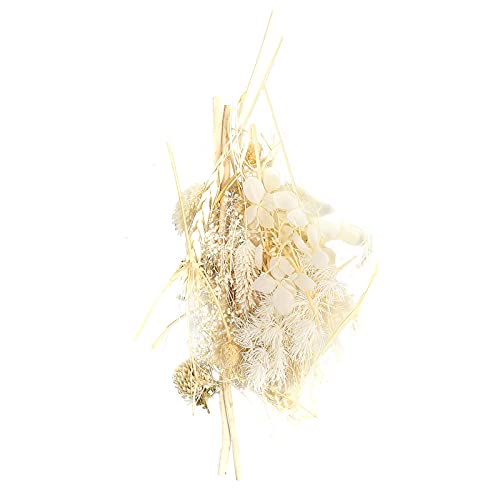 Material de fabricação de flores secas, conjunto de folhas de flores reais para decorações florais,