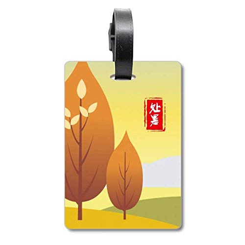 Étiquettes pour valise Stopping Heat recharge solaire contre les erreurs de bagage en soute