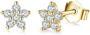 CRASLYMO Sterling Silver Stud Earrings for Women Silver Gold Rosegold, Small Flower Cubic Zirocnia Studs Hypoallergenic Cartilage Stud Sleeper Earrings Set Piercing Jewellery for Girls, Men, 3/4/5mm