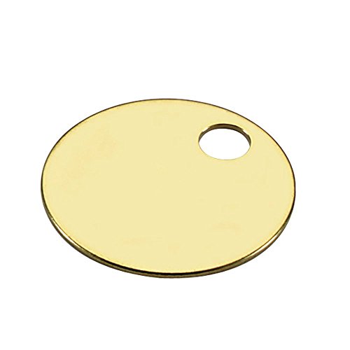 Lucky Line Solid Brass Round Tag - One Hole and 1 Inch Diameter, 10/PK (2601010)