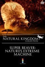 Natural Kingdom-Super Beaver, Nature's Extreme Machine [DVD-R] [2011]