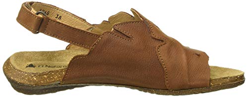 El Naturalista N5068