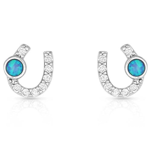 Montana Silversmiths Women's Lightfoot Horseshoe Earrings - ER3394 One Size