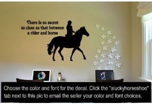 Aluckyhorseshoe Sticker Mural En Vinyle Avec Citation Cheval 114 X 69 Cm Amazon Ca Outils Et Bricolage