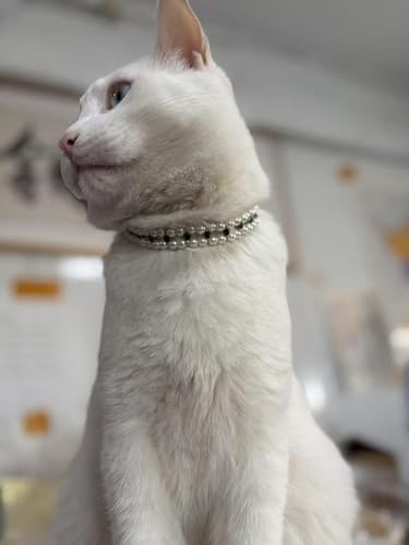 Collier de perles pour chat confortable réglable strass anti irritation - 6