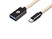iFi Audio OTG Cable / Adapter Micro USB for Android Phones / Digital Audio Players (DAPs) / Digital Analog Converters (DACs) / Amps / Laptops