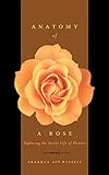 Anatomy Of A Rose: Exploring The Secret Life Of Flowers