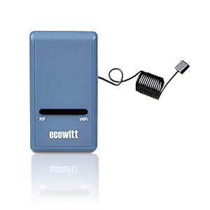 Ecowitt GW1100 Funk-Wetterstation Gateway