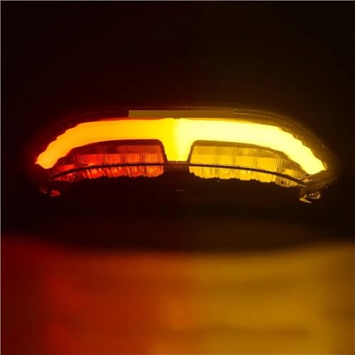 Luz trasera CBR600RR integrada para eliminar intermitentes rotos de moto 7