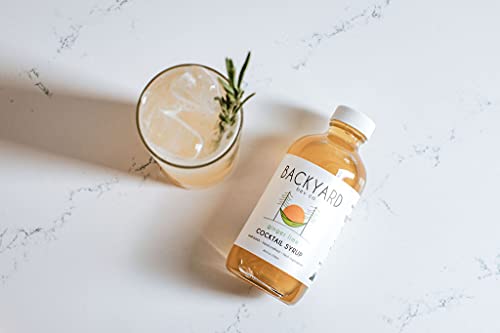 Backyard Soda Co Ginger Lime Simple Syrup, 8 Fz #TOP1