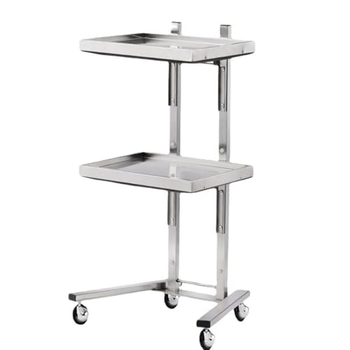 Salon Trolley Cart, 2-Tier Hairdressing Trolley Salon Rolling Cart Stainless Steel Salon Storage Stand with Trays and Wheels for Bedroom Tattoo Shop,Spa Storage Systems 40 x 30 x 86cm