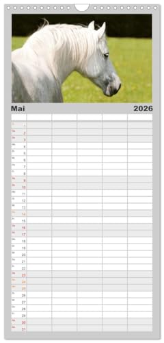 Familienplaner 2026 - Faszination und Vielfalt - Schwarzwälder Kaltblut mit 5 Spalten (Wandkalender, 21 cm x 45 cm), CALVENDO: Kraftvoll, elegant, ... Pferd durch das Jahr (CALVENDO Tiere)