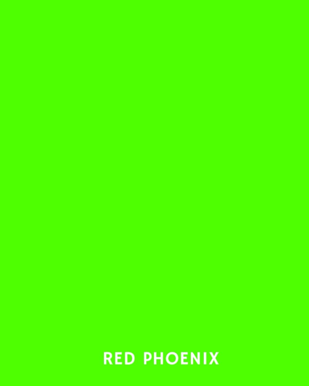 Quaderno A4 Red Phoenix, Copertina Monocolore, Righe, verde: for school