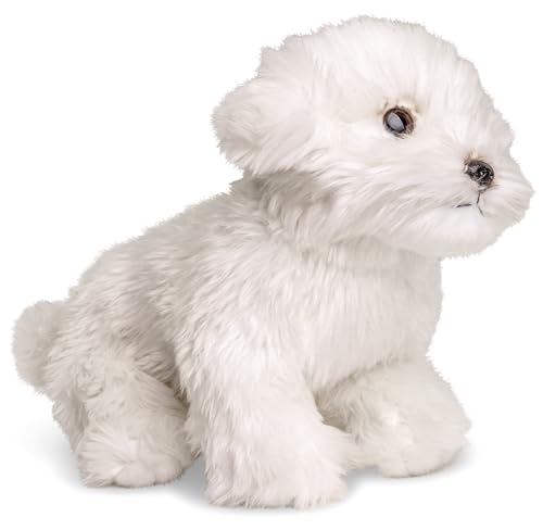 Uni-Toys - Malteser (ohne Leine) - 26 cm (Länge) - Plüsch-Hund, Haustier - Plüschtier, Kuscheltier
