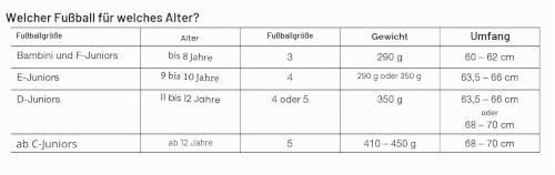 uhlsport Fußball Team-Fußbälle - langlebige Trainingsbälle für das Mannschaftstraining - Fußball für Kinder und Erwachene, Größe 3… – Ansicht 3
