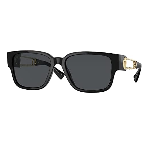 Gafas de Sol Versace VE 4412 Black/Grey 57/18/140 hombre