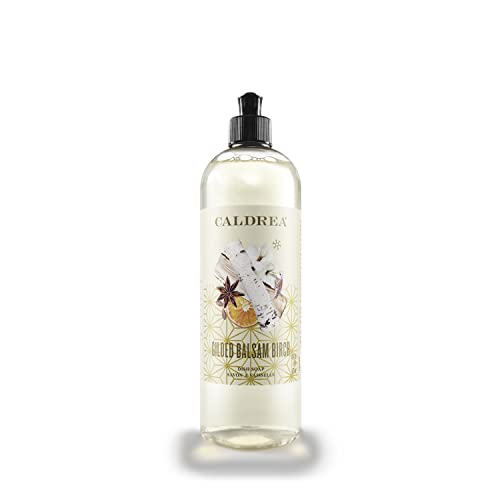 Image of Caldrea Dish Soap, Biodegradable Dishwashing Liquid made with Soap Bark and Aloe Vera, Gilded Balsam Birch Scent, 16 oz
