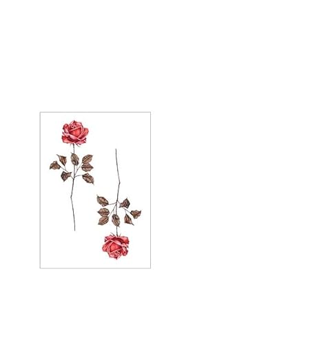 5 pcs Chica Lindo Tatuajes Temporales Sueño Duradero Impermeable Carpa Flor Pequeña Simulación Fresca Tatuaje Pegatina