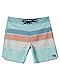 Quiksilver Everyday Stripe 19 - Boardshorts für Männer Blau