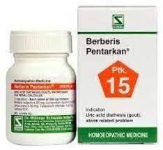 Dr.Willmar Schwabe India - Berberis Pentarkan (Ptk 15) Tablets Renal Health - Pack Of 2 |2G121| (B0BJV7Q6X4) Amazon Price History, Amazon Price Tracker