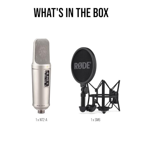 RODE Microphones NT2-A コンデンサーマイク NT2A の商品画像 7