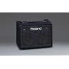 Roland KC-220 Battery-Powered Stereo Keyboard Amplifier Bundle with Gearlux Instrument Cable and Austin Bazaar Polishing Cloth