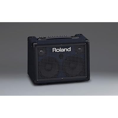 Roland KC-220 Battery-Powered Stereo Keyboard Amplifier Bundle with Gearlux Instrument Cable and Austin Bazaar Polishing Cloth