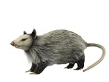 Opossum 12' (8041)