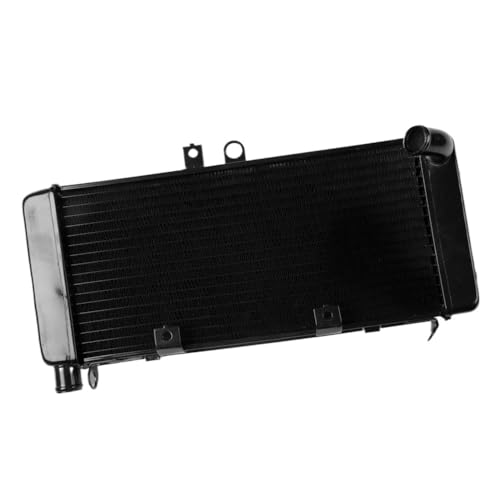 Refroidisseur de radiateur de moto anti surchauffe pour CB900 CB919F 900 2002-2007