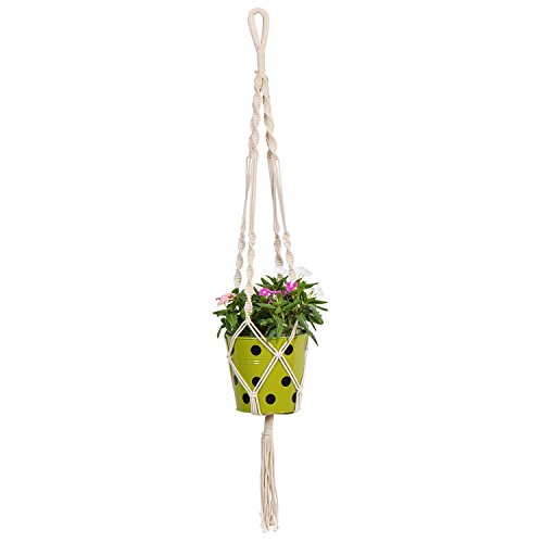 TrustBasket Round Dotted Pot with Macrame Cotton Contemporary Hanger - Set of 5 | Rope Flower Pot Holder for Indoor and Outdoor Hanging Planter Basket