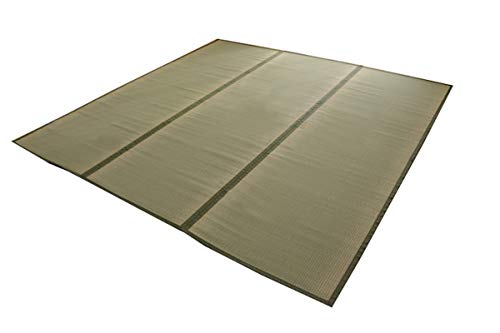 CPqR  O  ]ˊ6 261×352cm { ~ J[ybg oڐD qoH #1100636