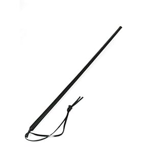 Erotic Fashion ra7924 Cane 62 cm, zwart leer, per stuk verpakt (1 x 1 stuks)