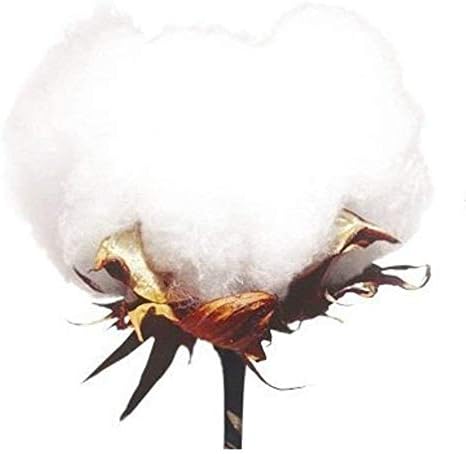 ウォーターベッドシーツセット - 600スレッドカウント 100%コットン キング/カリフォルニアキングアタッチドウォーターベッドシ