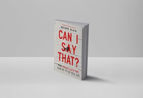 Image of Can I Say That?: How Unsafe Questions Lead Us to the Real God