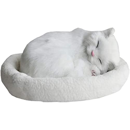 ʂ ʂ L̃I[ig ċzʂ av[g {̔L Oh[ l` l` I[ig 킢 CeA  Ԃ̏ yY (TY035)