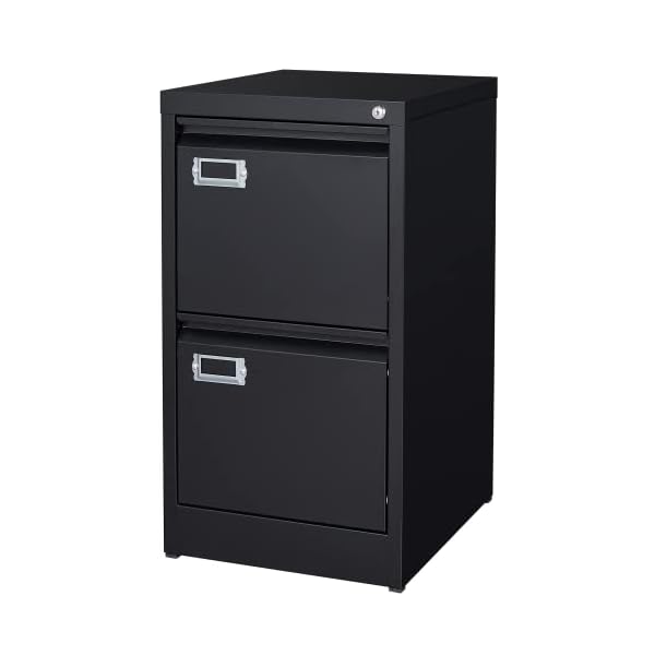 BYNSOE 2 Drawer File Cabinet with Lock Metal Vertical Filing Storage Cabinet Office Home Steel Vertical File Cabinets for A4 Legal/Letter Size Narrow File Cabinet Locked,Assembly Required