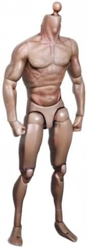 Miniatura 9 de Cuerpo musculoso de 12 pulgadas, figura de acción flexible masculina para esculpir la cabeza a escala 16 tallada