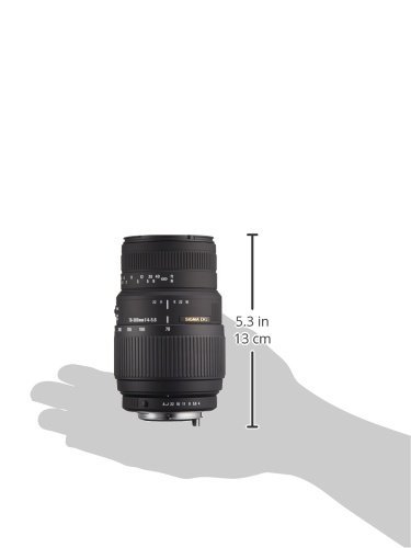 Sigma 70-300Mm F/4-5.6 Dg Macro Telephoto Zoom Lens For Pentax Slr Cameras #TOP4
