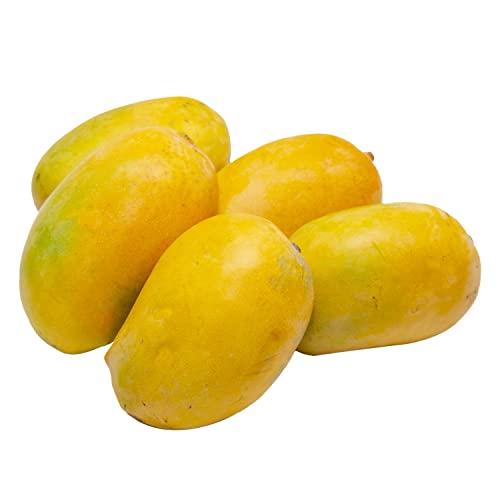 Kesar Mango India 1 kg Approx.