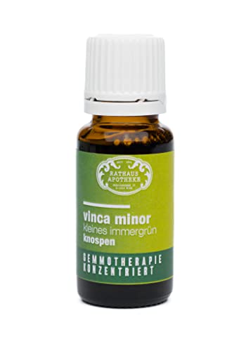 Konzentrierter Knospenextrakt – Gemmotherapie – Vinca minor, Knospe – [DIE KRAFT DES KLEINEN IMMERGRÜNS] – natürliche Unterstützung für Mikrozirkulation, Gefäßbalance & geistige Klarheit – 15 ml