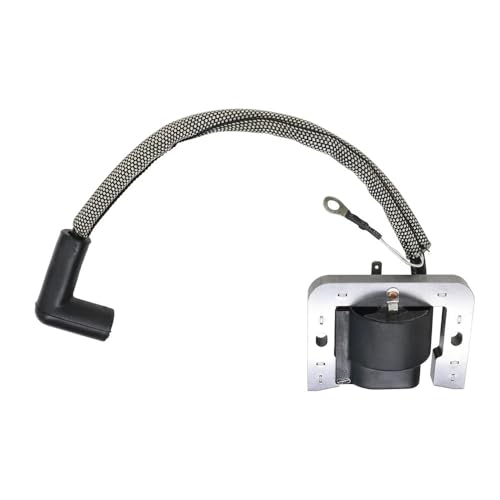 Bobine d'allumage moteur pour réparer le démarrage difficile 2558402-S 2558415-S