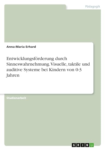 Entwicklungsförderung durch Sinneswahrnehmung. Visuelle, taktile und auditive Systeme bei Kindern von 0-3 Jahren