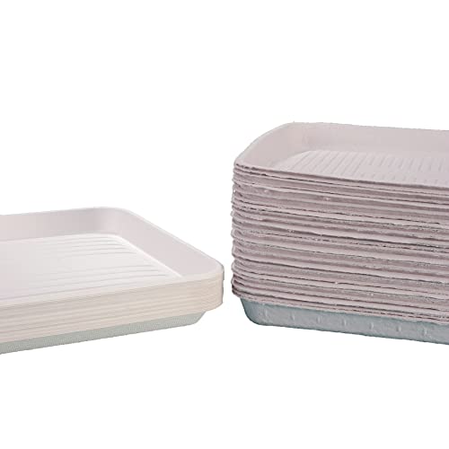 Image of Practicon Ecosply Instrument Tray, Biodegradable, X-Small, Pack of 250