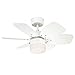 Westinghouse Lighting 7242440 Flora Royale Ventilateur de plafond E27 Acier blanc