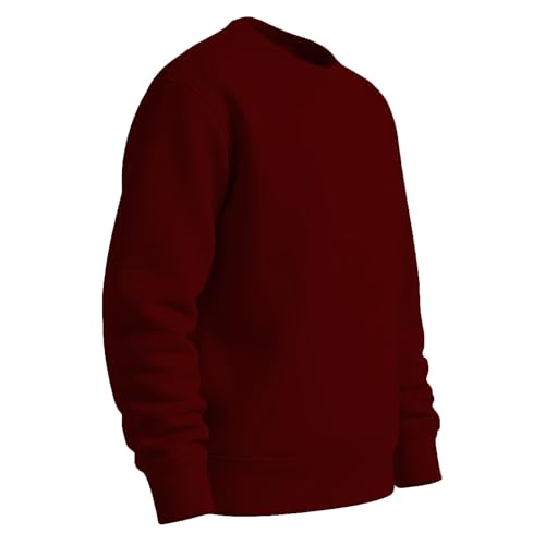 Image of THE BLAZZE Women's Fleece Stretchable Full Sleeves Sweatshirt Regular Fit Round Neck Casual Winterwear for Girls and Womens VBW5