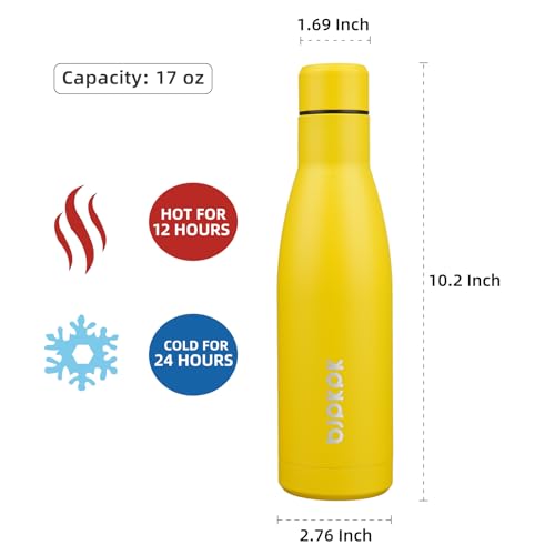 Image of BJPKPK 17oz Skinny Insulated Water Bottle, Stainless Steel Flask
