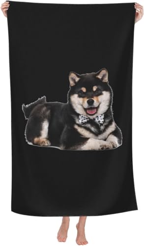 oX^I Č   ʔ  (2) Aj ^I z }CNt@Co[ Gǂ LN^[   RۖhL rbO ƒp Ɩp lC v[g